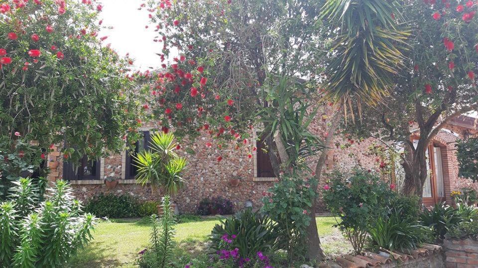 Agriturismo Pingitore Luzzi Dış mekan fotoğraf