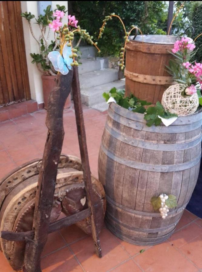 Agriturismo Pingitore Luzzi Dış mekan fotoğraf
