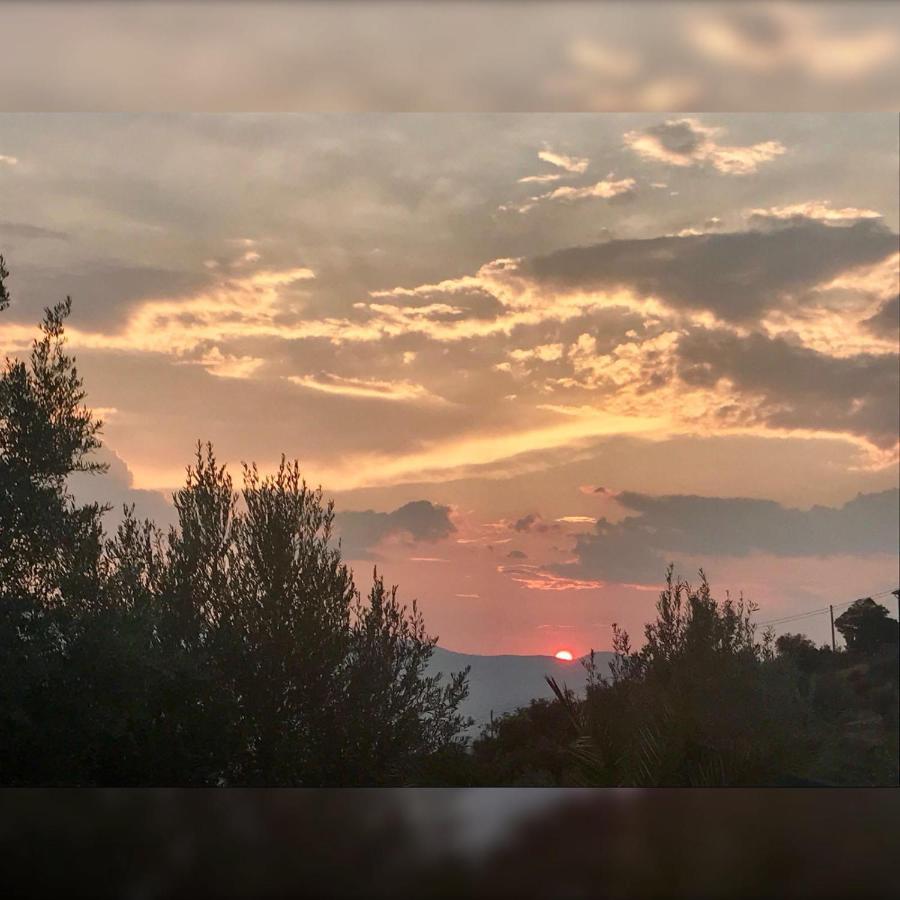 Agriturismo Pingitore Luzzi Dış mekan fotoğraf