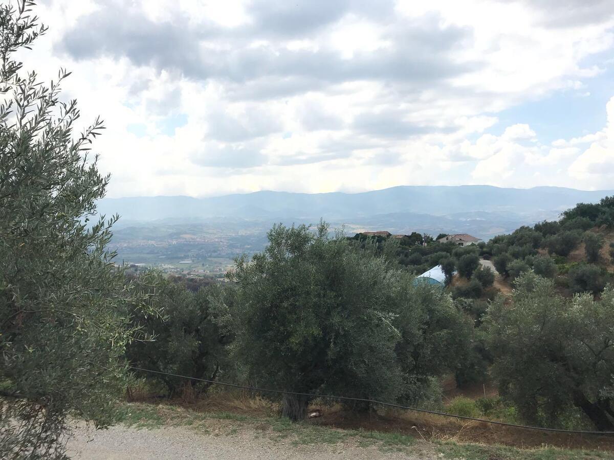 Agriturismo Pingitore Luzzi Dış mekan fotoğraf