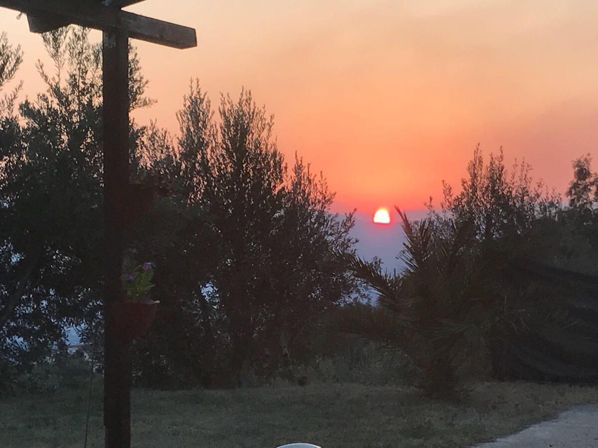 Agriturismo Pingitore Luzzi Dış mekan fotoğraf