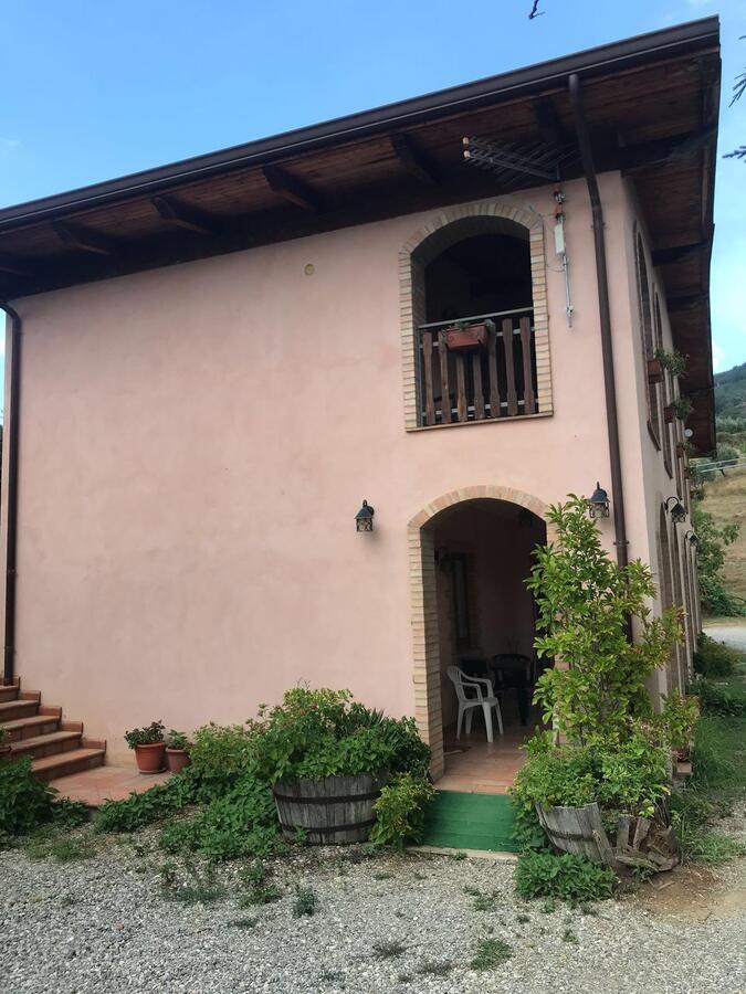 Agriturismo Pingitore Luzzi Dış mekan fotoğraf