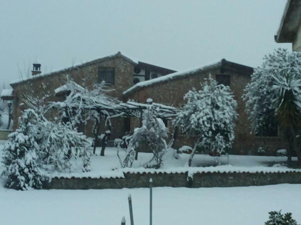 Agriturismo Pingitore Luzzi Dış mekan fotoğraf