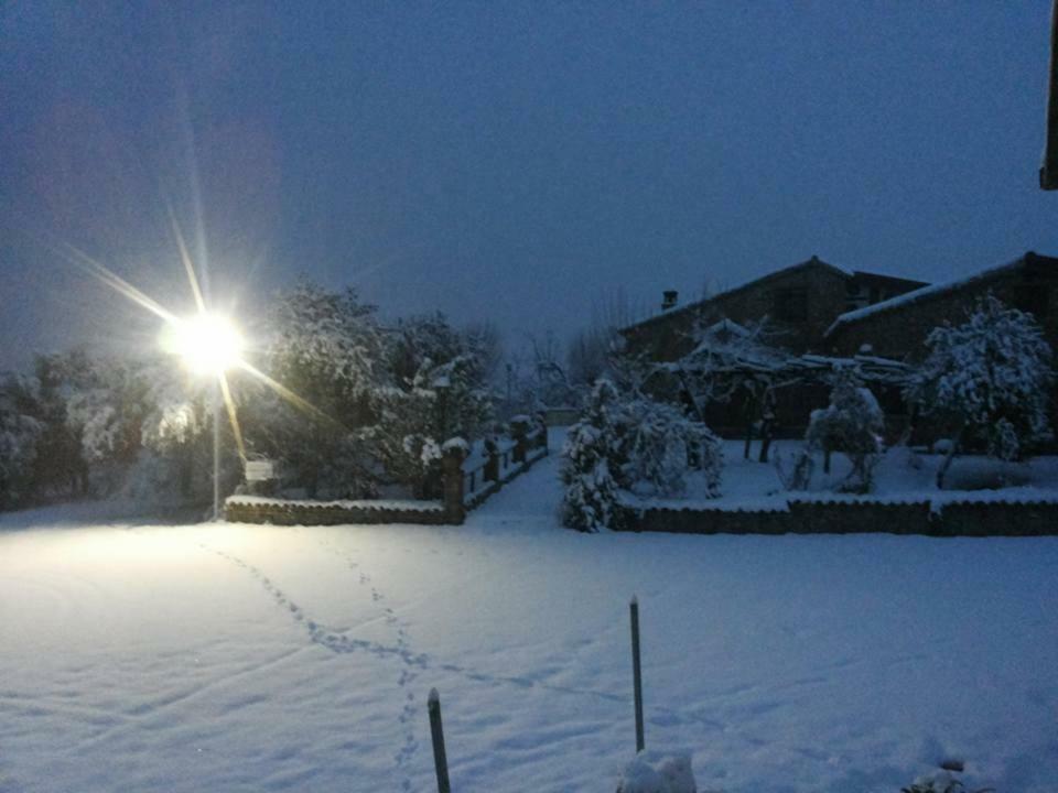 Agriturismo Pingitore Luzzi Dış mekan fotoğraf